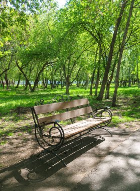 Tahta park tezgahı bahar manzarası.