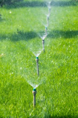 Sulama sistemi bokeh arka plan ile yeşil çim sulama.