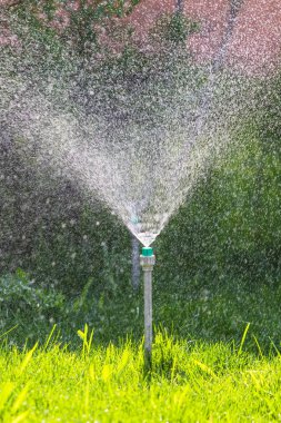 Sulama sistemi bokeh arka plan ile yeşil çim sulama.