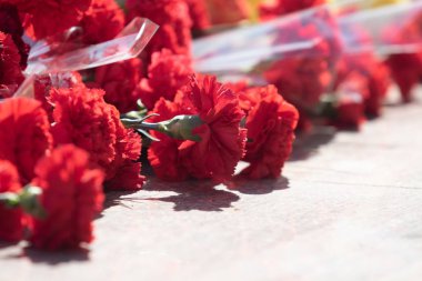 Kırmızı karanfil çiçekler büyük bir buket vardır.