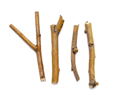 Beyaz arka planda yalıtılmış kuru dalları makro ağaçları. Bir dizi snags.