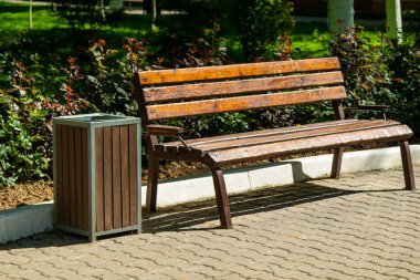 Güneş ışığının altındaki ahşap bank. Yaz Parkı.