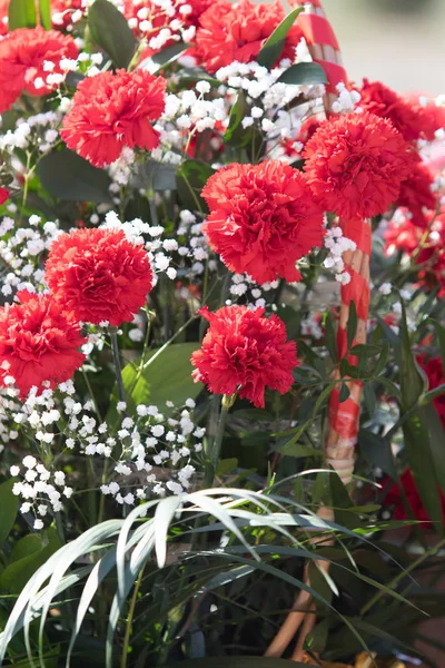 赤いカーネーションの花は素晴らしい花束です — ストック写真