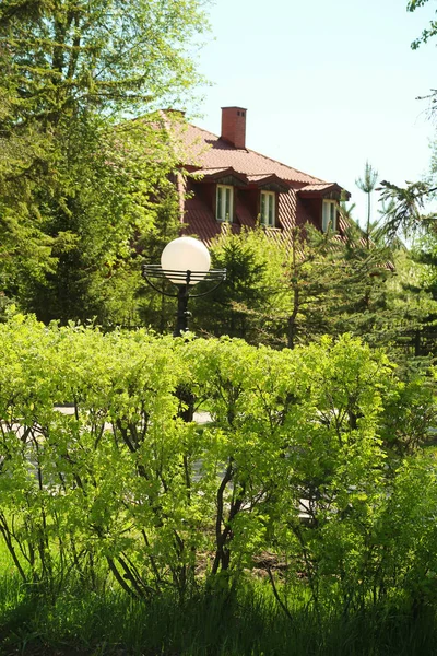 Brick House Metal Fence Spring Green Trees Park — Stock Photo, Image