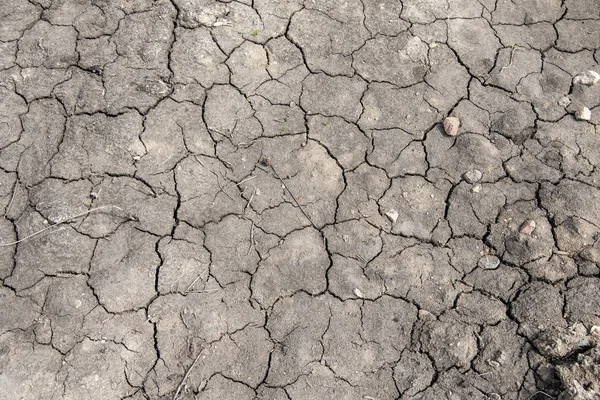 乾燥した割れた地球の灰色の背景 — ストック写真