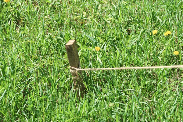 Wooden Stake Ground Rope Green Grass — Stock Photo, Image