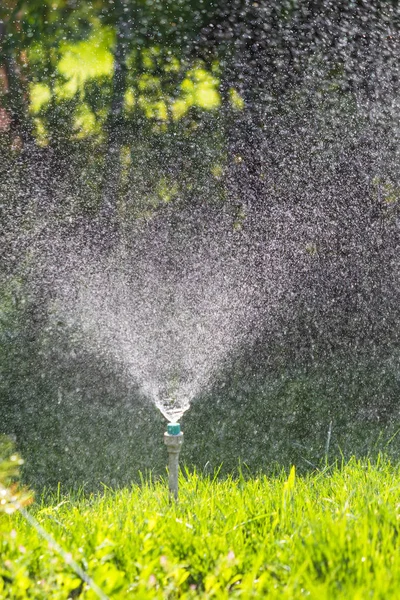 ボケ背景と緑の芝生に散水灌漑システム — ストック写真