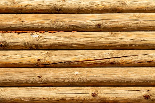 Parete Tronco Sfondo Struttura Legno Rotondo — Foto Stock