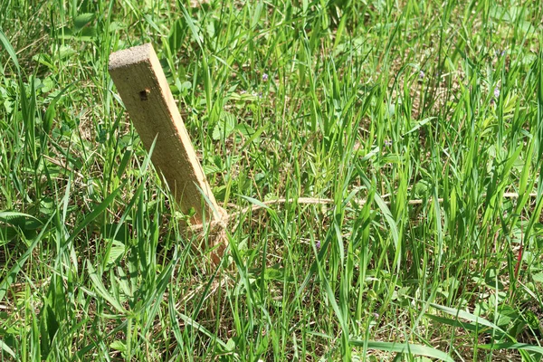 緑の芝生にロープで地面に木製の杭 — ストック写真