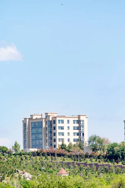 Shymkent Cazaquistão Abril 2019 Árvores Verdes Céu Azul Casas Vários — Fotografia de Stock