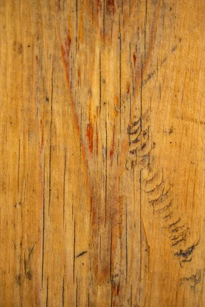 木製フェンス背景木製パネルのテクスチャ — ストック写真
