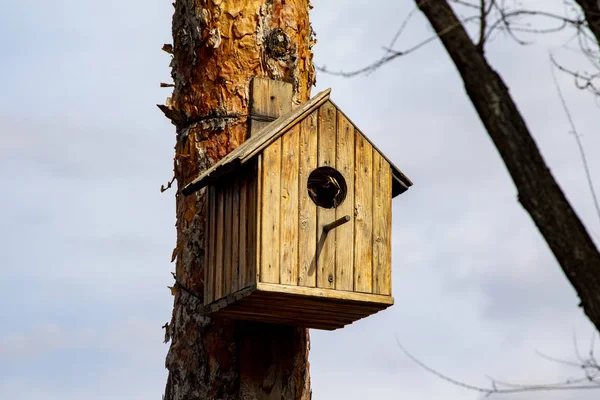 Wooden Birdhouse Tree Spring Closeup — Stockfoto