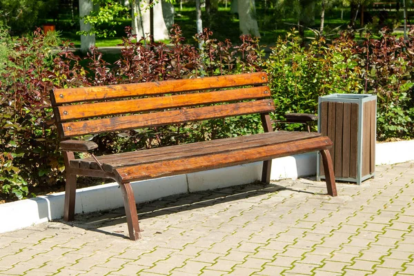 Banco Madeira Sob Luz Sol Parque Verão — Fotografia de Stock