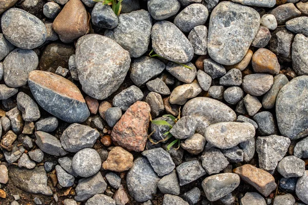 Rund Havs Grus Bakgrund — Stockfoto