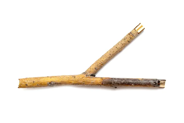 乾いた枝は白い背景に分離されたマクロ木 思わぬ障害のセット — ストック写真