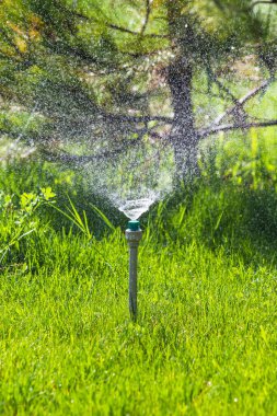 Sulama sistemi bokeh arka plan ile yeşil çim sulama.