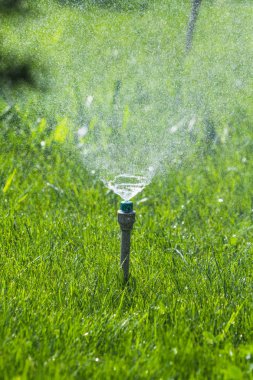 Sulama sistemi bokeh arka plan ile yeşil çim sulama.