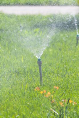 Sulama sistemi bokeh arka plan ile yeşil çim sulama.