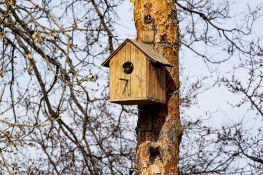 Wooden birdhouse on the tree, spring closeup.