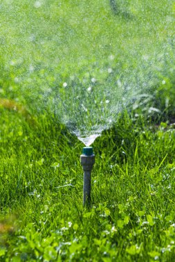 Sulama sistemi bokeh arka plan ile yeşil çim sulama.