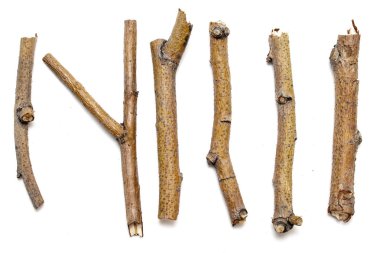 Beyaz arka planda yalıtılmış kuru dalları makro ağaçları. Bir dizi snags.