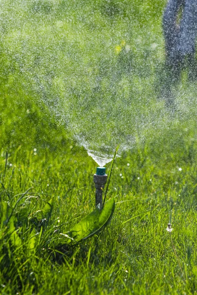 Système Irrigation Arrosage Herbe Verte Avec Fond Bokeh — Photo