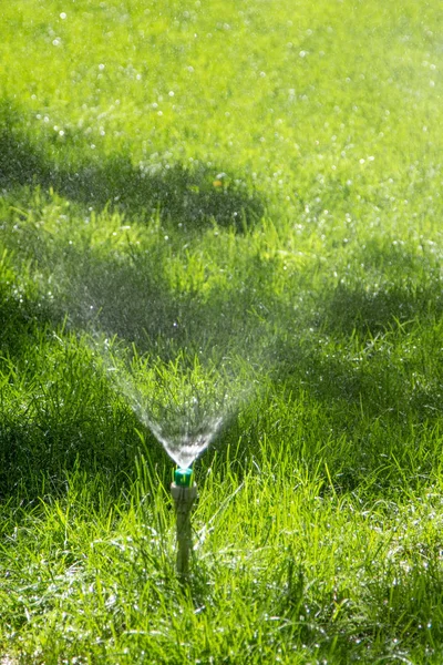 Système Irrigation Arrosage Herbe Verte Avec Fond Bokeh — Photo