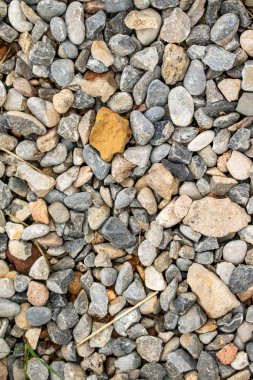 Yuvarlak deniz çakıl arka plan.