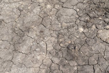 Kurutulmuş kırık toprak gri arka plan