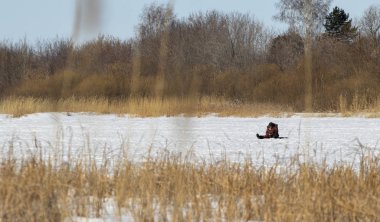 Kışın buzda balıkçı, peyzaj.