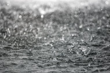 Bulanık arka plan ile arka planda sıçraması su büyük damla