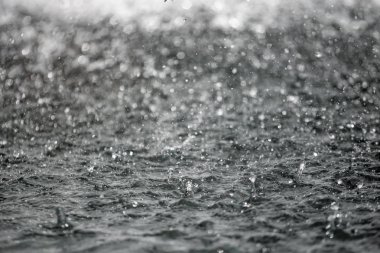 Bulanık arka plan ile arka planda sıçraması su büyük damla