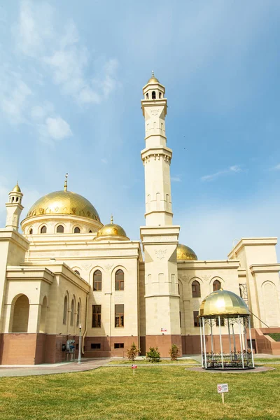 Petropavlovsk Kazakhstan Mai 2019 Mosquée Musulmane Dômes — Photo