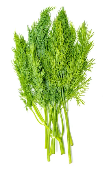 Dill Frischer Salat Grüne Dillzweige Vereinzelt Auf Weißem Hintergrund Veganes — Stockfoto