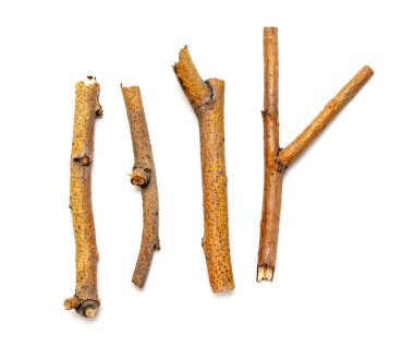 Beyaz arka planda yalıtılmış kuru dalları makro ağaçları. Bir dizi snags.