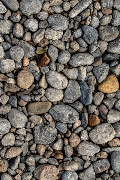 Tondo Mare Ciottoli Fondo — Foto Stock