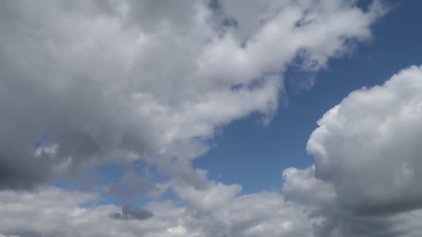 Día Tormenta Con Las Nubes Negras — Vídeos de Stock