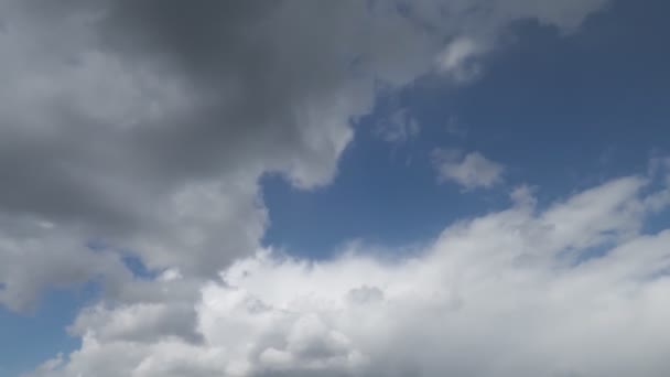 Día Tormenta Con Las Nubes Negras — Vídeos de Stock