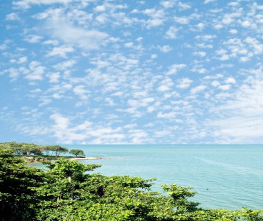 deniz manzarası deniz gökyüzü ağaçlar