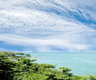 deniz manzarası deniz gökyüzü ağaçlar