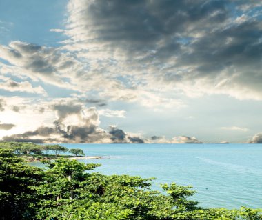 deniz manzarası deniz gökyüzü ağaçlar