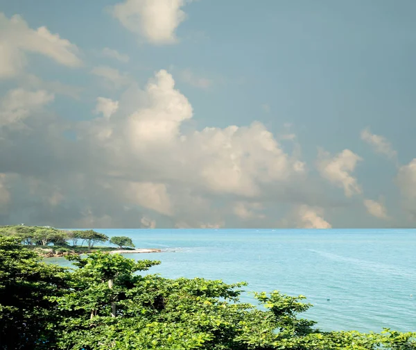 Paisaje Marino Cielo Marino Árboles — Foto de Stock