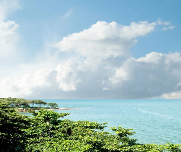 Seascape Sea Sky Trees — Stock Photo, Image