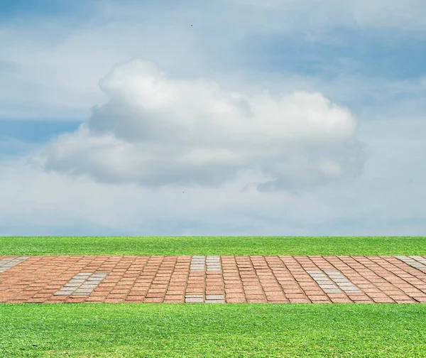 Grass Läggare Sky Moln — Stockfoto