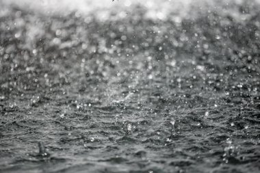 Bulanık arka plan ile arka planda sıçraması su büyük damla