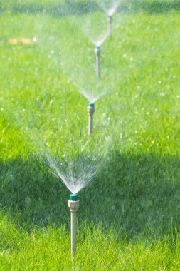 Sulama sistemi bokeh arka plan ile yeşil çim sulama.