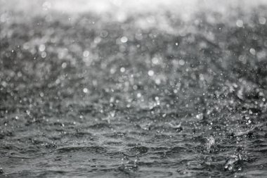 Bulanık arka plan ile arka planda sıçraması su büyük damla