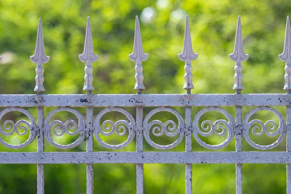 Old Forged Fence Park Blurred Green Background — Stock Photo, Image