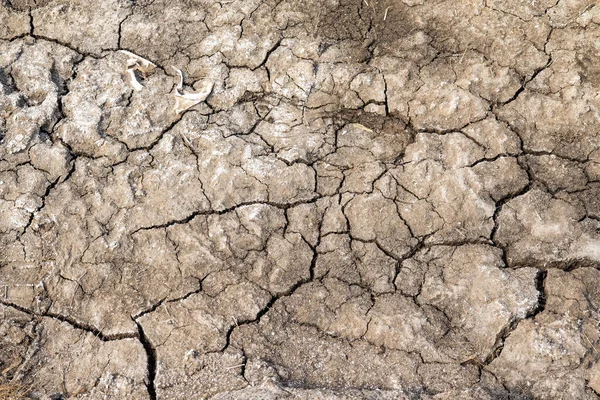 Grijze Achtergrond Van Gedroogde Gekraakte Aarde — Stockfoto