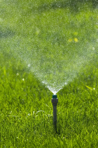 Système Irrigation Arrosage Herbe Verte Avec Fond Bokeh — Photo